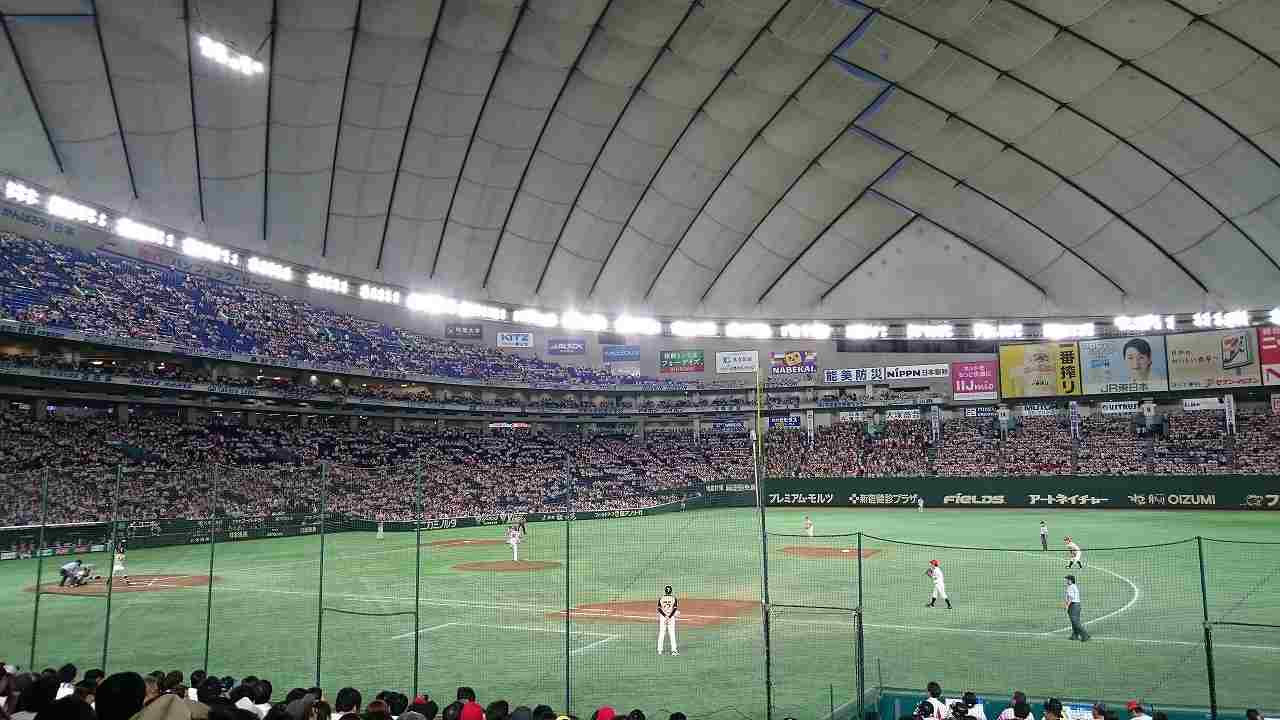 今年は内野席から観戦